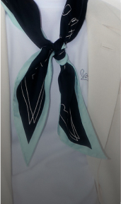 Foulard & Sciarpe image