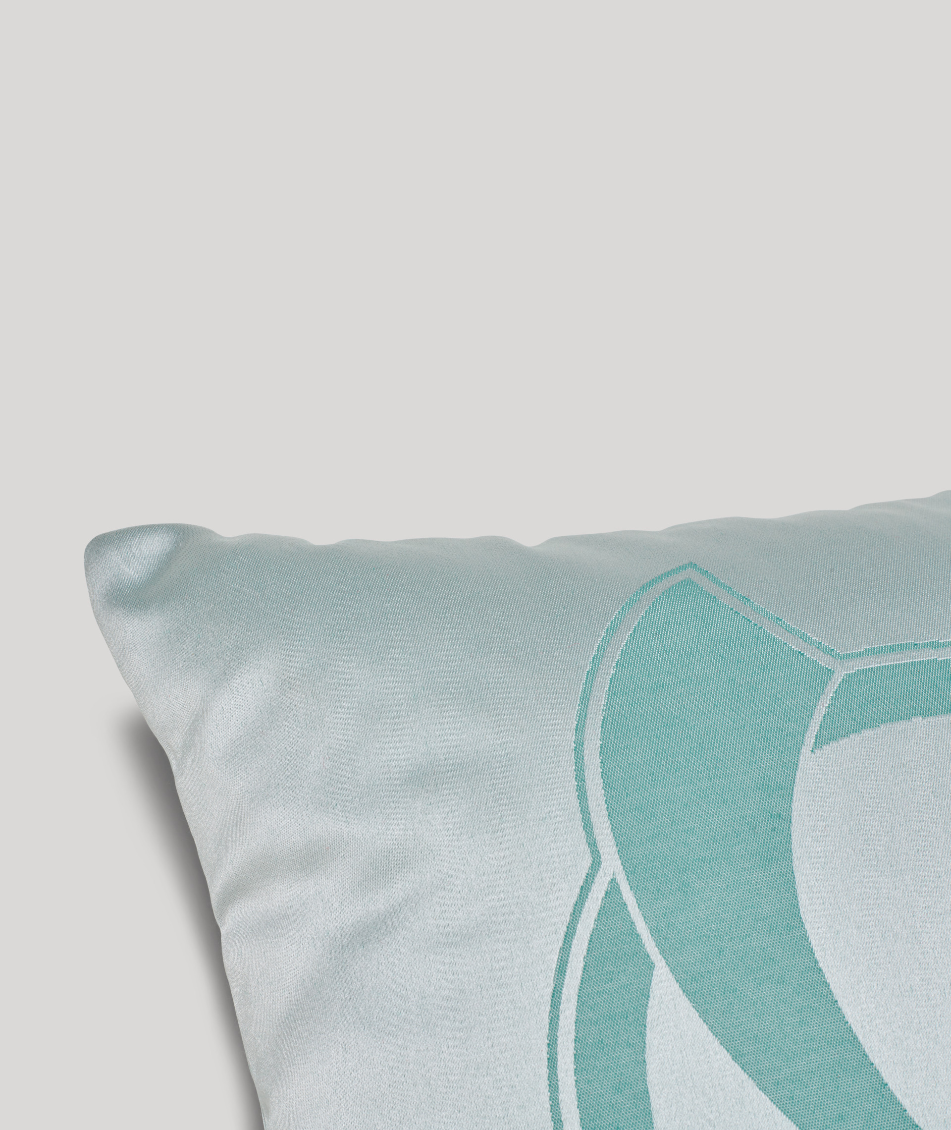 product description image