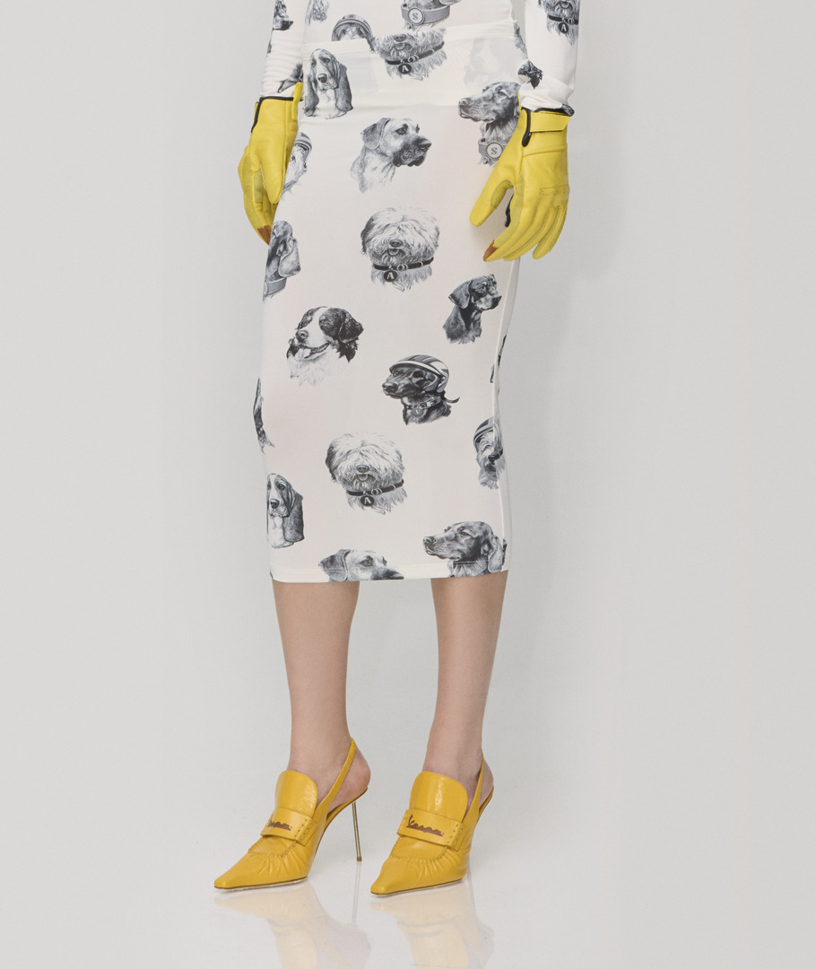 slider image