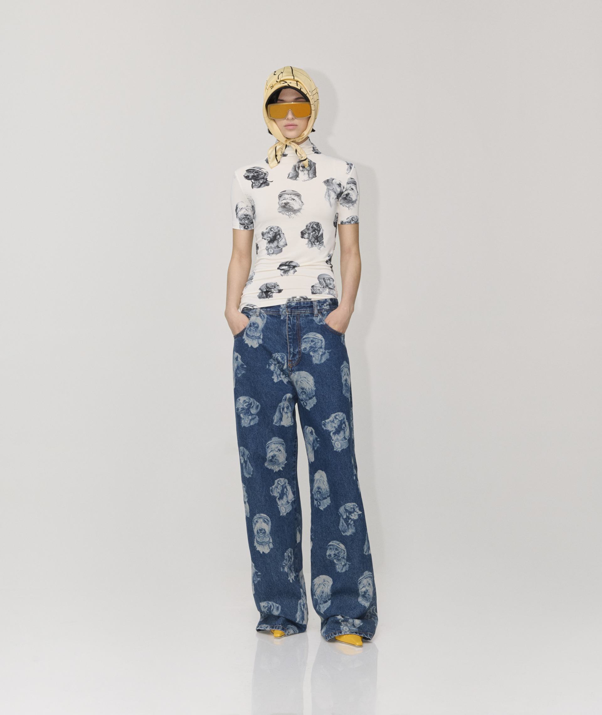 product description image
