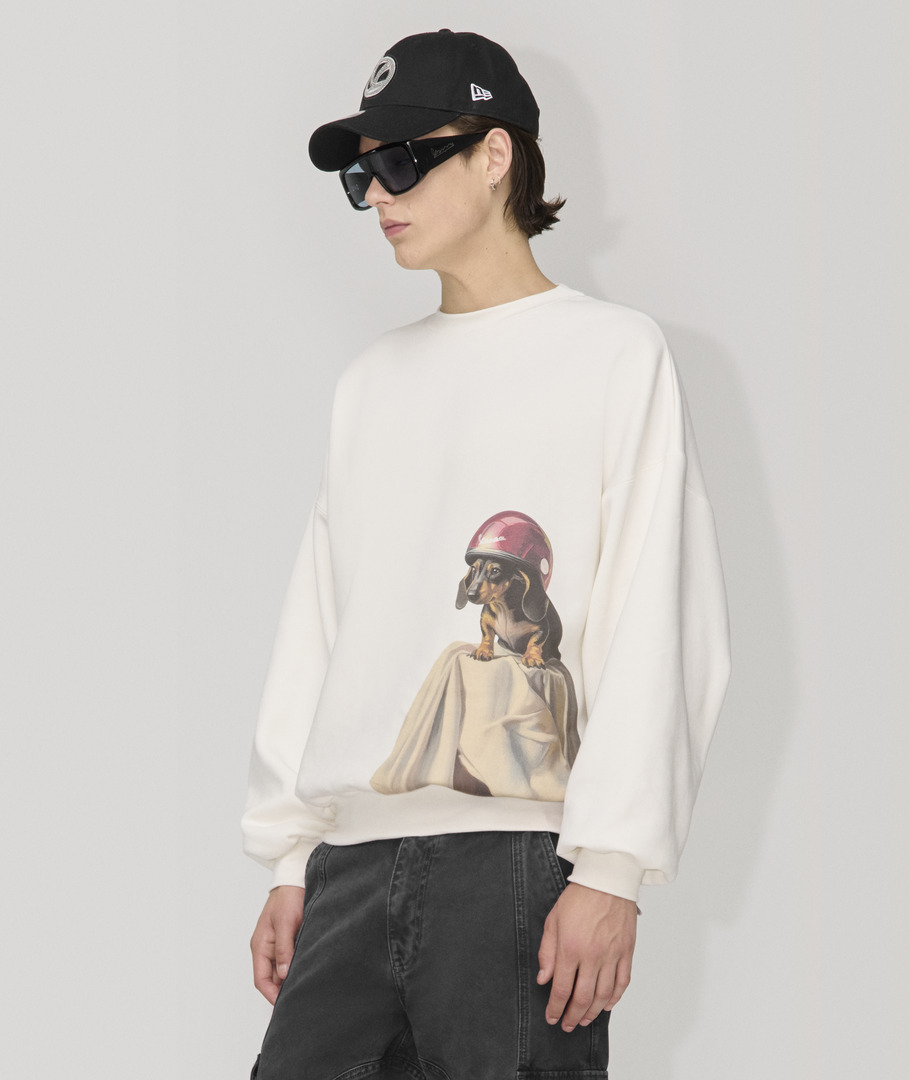 slider image